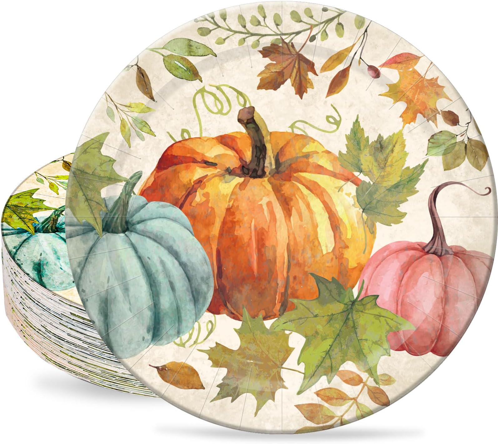 Amazon.com: Funnymoom 48 Pcs Thanksgiving Paper Plates Set Include 9 ...