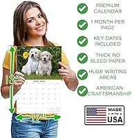 Vista 231 de Razas de Perros 2017