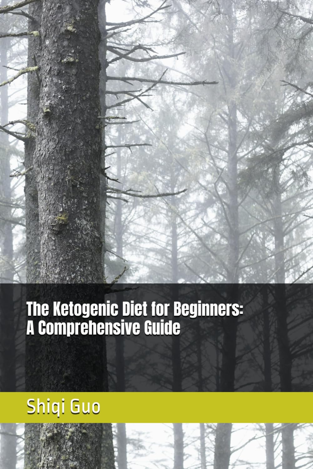 The Ketogenic Diet for Beginners: A Comprehensive Guide