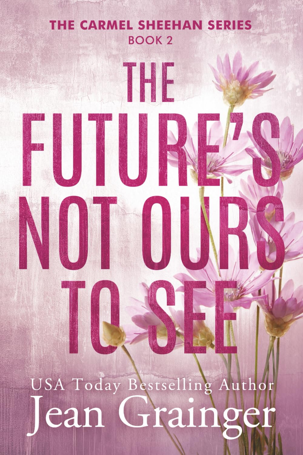 The Future's Not Ours to See: The Carmel Sheehan Series Book 2 (The Carmel Sheehan Story)