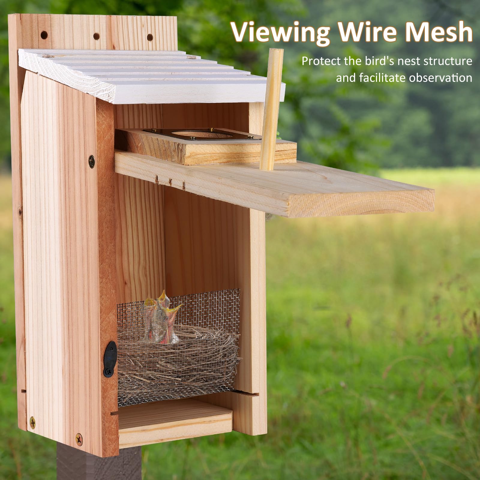 Casas para pájaros para exteriores, paquete de 2 con protector de cobre, espesar madera Bluebird House Liquidación Jardín casas de campo, caja anidadora para pinzones, golondrina, Wren, Chickadee Wild 9