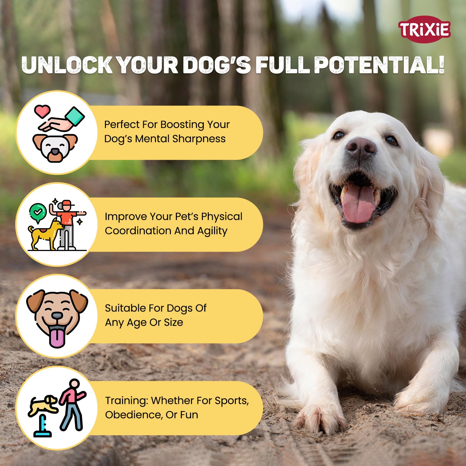 Trixie: - Dog Agility Hurdle Cone Set, Portable Canine Agility Training Set | Increase Your Dog's Concentration, Fitness and Coordination | Also Suitable for Therapeutic Treatment - 23 x 30 cm,78 cm 1