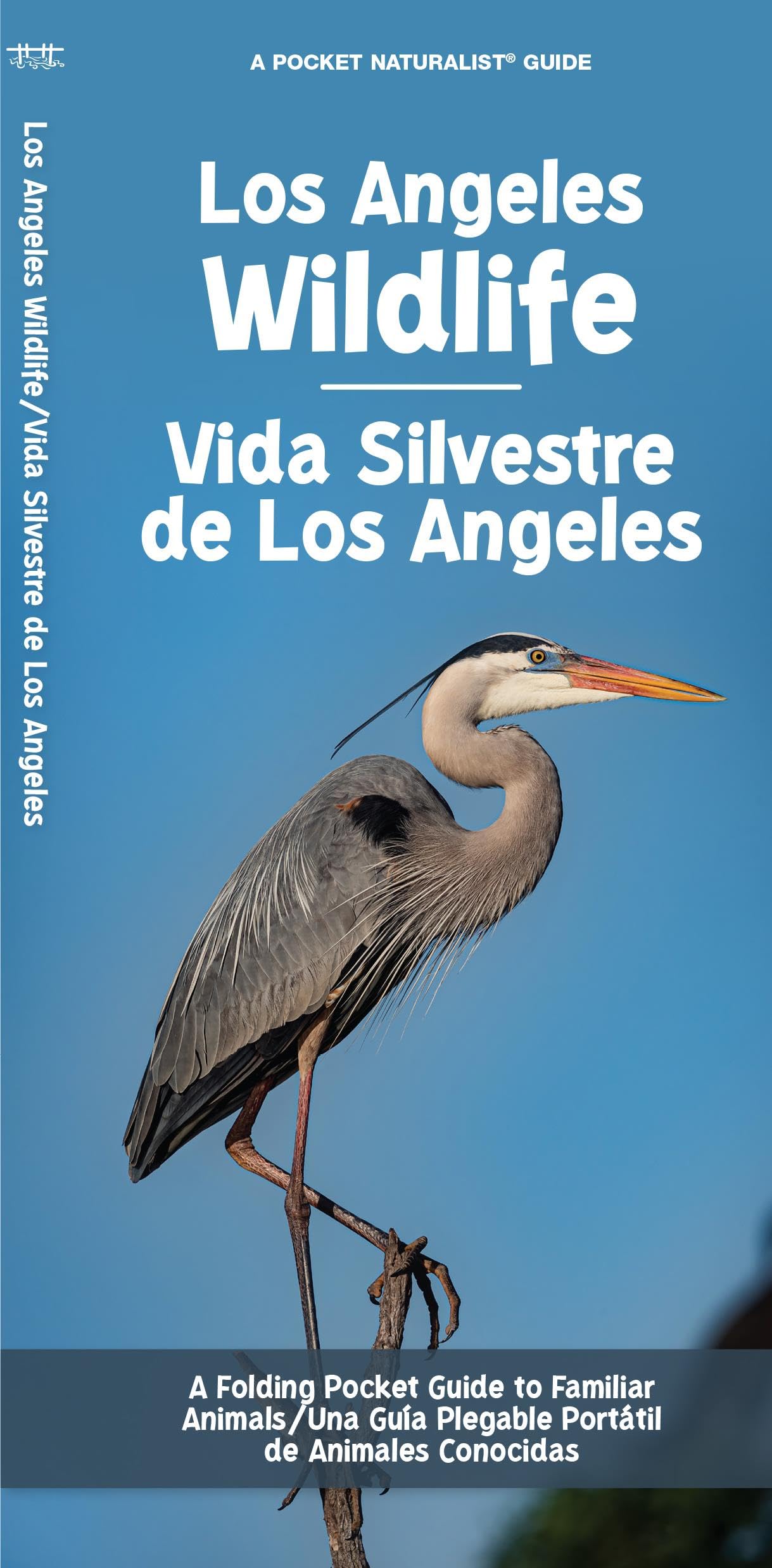 Los Angeles Wildlife/Vida Silvestre de Los Angeles: A Folding Pocket Guide to Familiar Animals/ Una Guía Plegable Portátil de Animales Conocidas (Nature Observation North America)