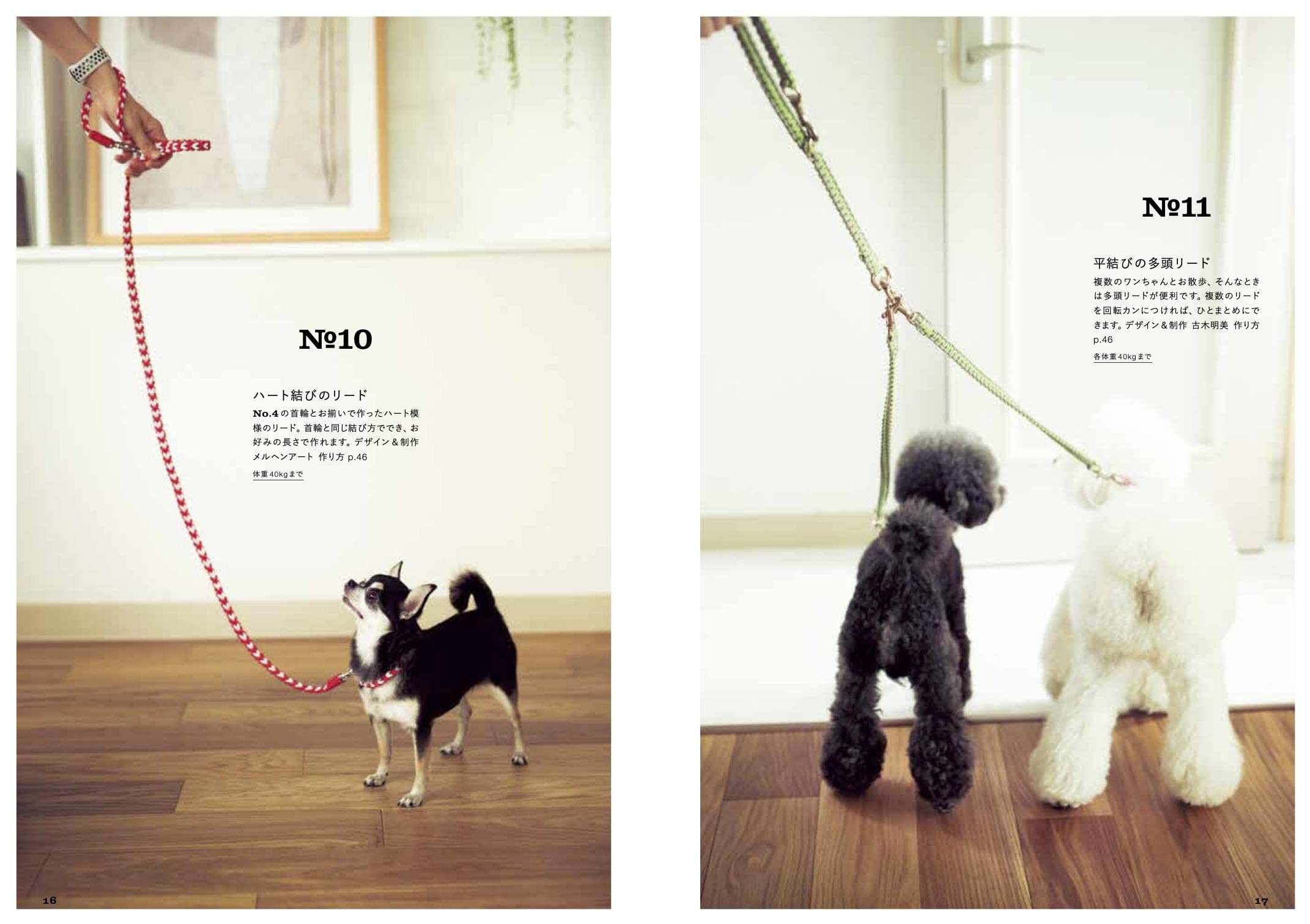 普及版 結んでつくる犬の首輪とリード 1 エクスナレッジ 本 通販 Amazon