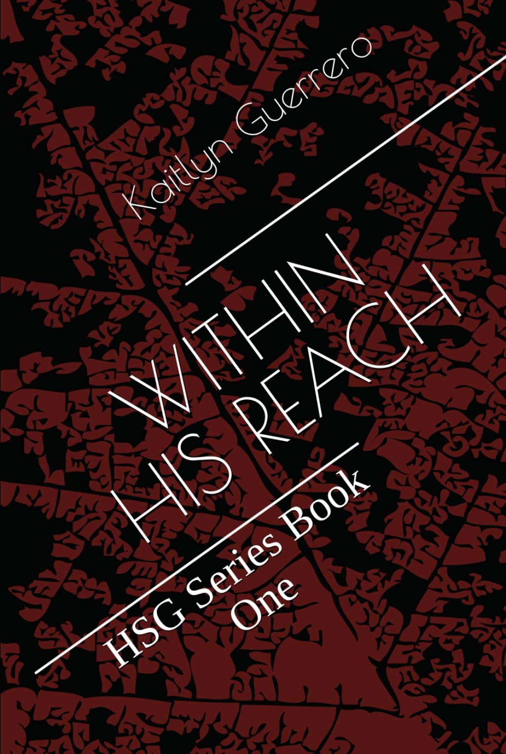 Within His Reach: HSG Series Book One (Hamilton Security Group)