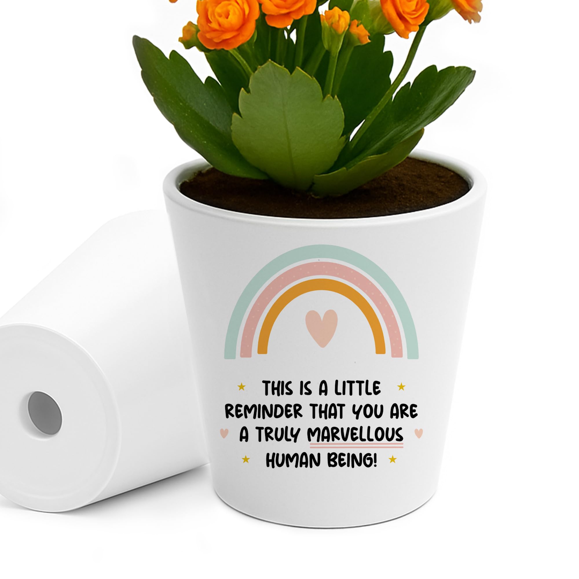 Red Ocean for Friend Co Worker Volunteer Teacher Plant Pot for Him Her Mum Nan Sister Auntie Best Friend Present Truly Marvellous Birthday Christmas