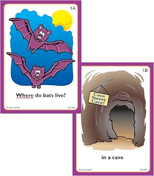 Super Duper Publications | Ask and Answer Where Questions Fun Deck | Communication and Language Processing Skills Flash Cards | Educational Learning Materials for Children
