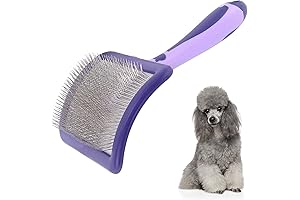 Best Dog Grooming Brush for Poodles - A Brush for Poodles' Dematting and Detangling Regime