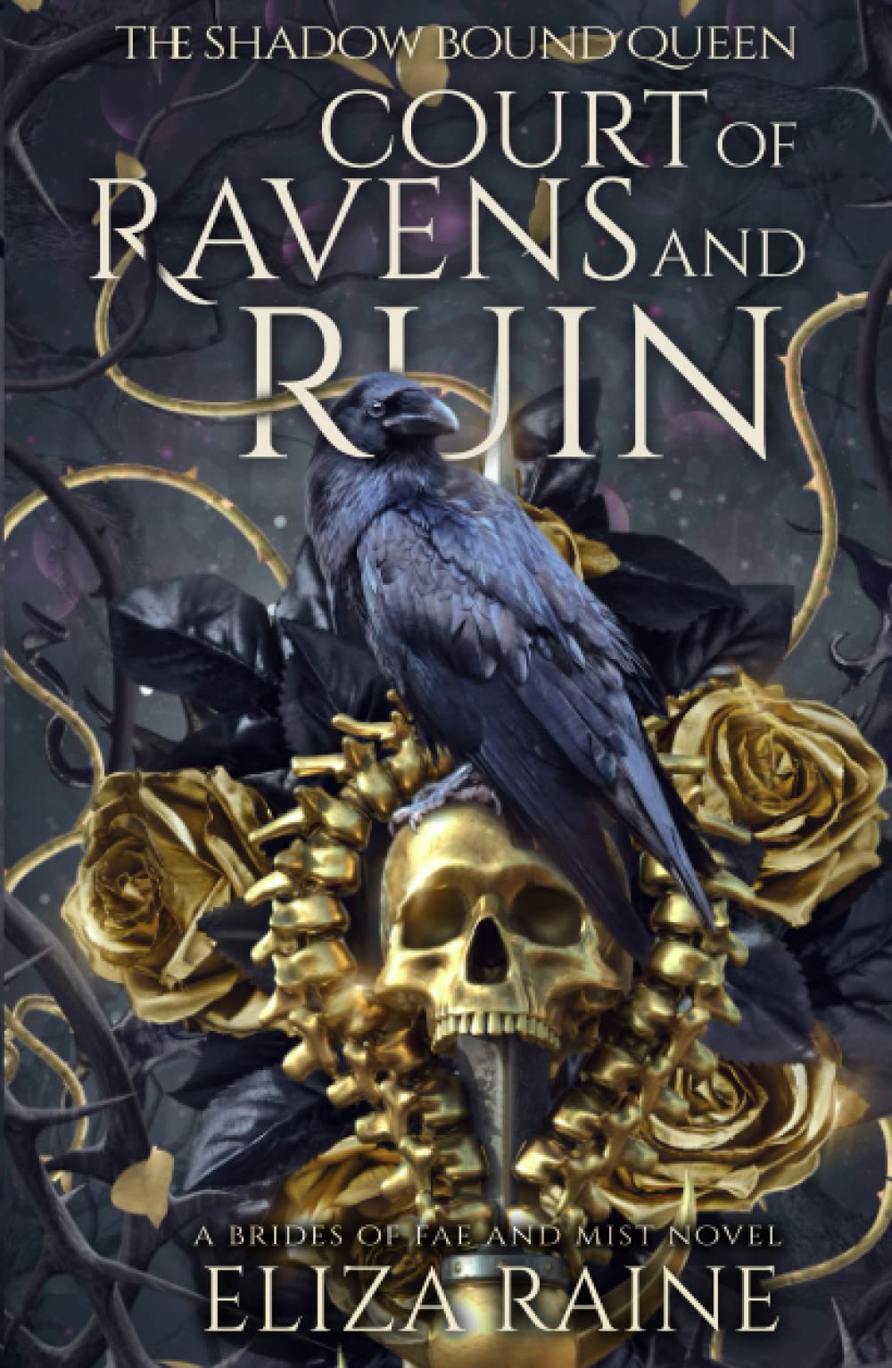 Court of Ravens and Ruin: A Brides of Mist and Fae Novel (The Shadow Bound Queen)