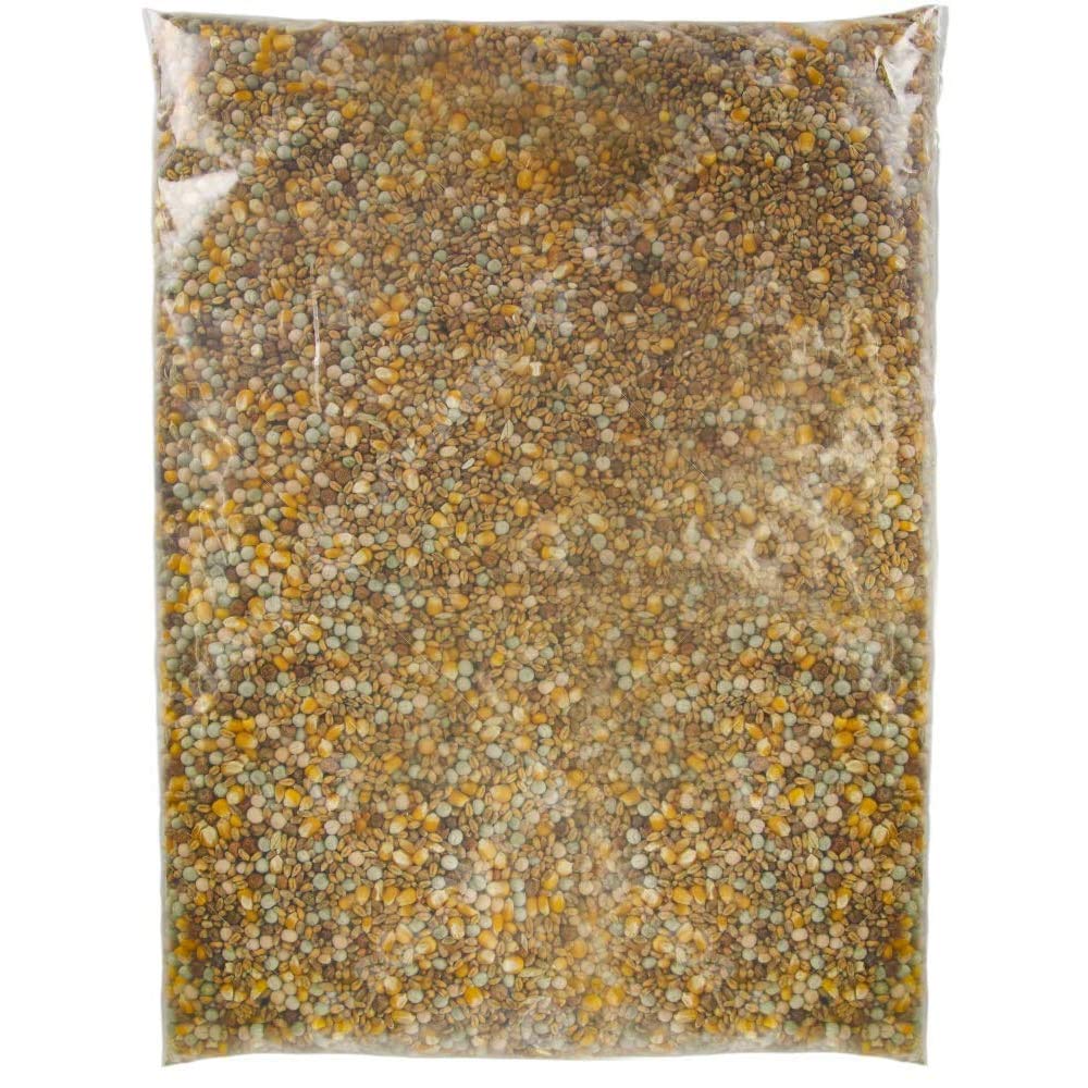 SQUAWK Four Seasons Pigeon Corn | Premium Grade Natural Food Mix | Rich in Nutritious Oils, Vitamins and Minerals | Perfect Year-Round Wild Bird Seed Feed | High in Protein, Energy & Fibre (2.5kg)