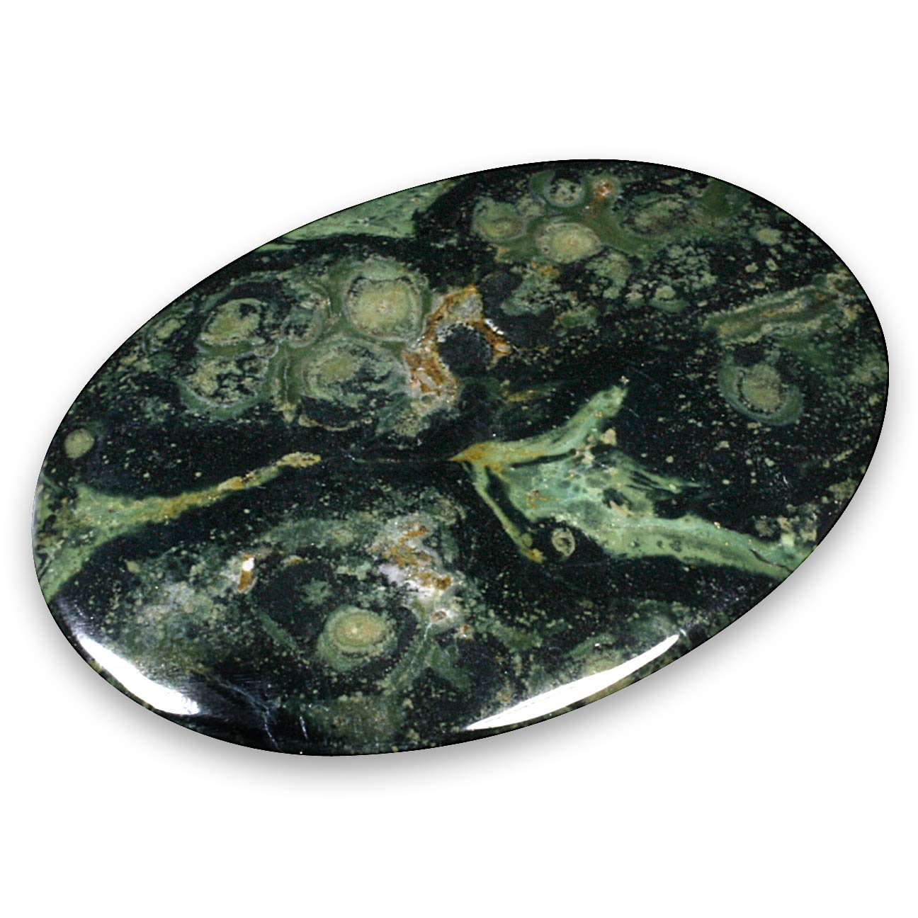 CrystalAge Kambaba Jasper Palm Stone ~70x50mm