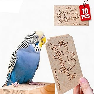 Natural Balsa Wood Bird Chew Toys for Parrots - 10 Pack Soft Wood Slices for Shredding & Foraging, Safe Cute Prints Teething Toy for Budgie Parakeet Lovebird Cockatiel Small Birds