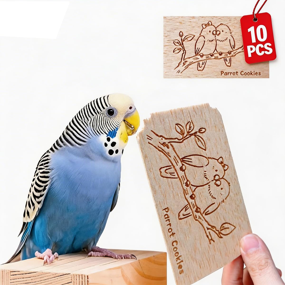 Natural Balsa Wood Bird Chew Toys for Parrots - 10 Pack Soft Wood Slices for Shredding & Foraging, Safe Cute Prints Teething Toy for Budgie Parakeet Lovebird Cockatiel Small Birds