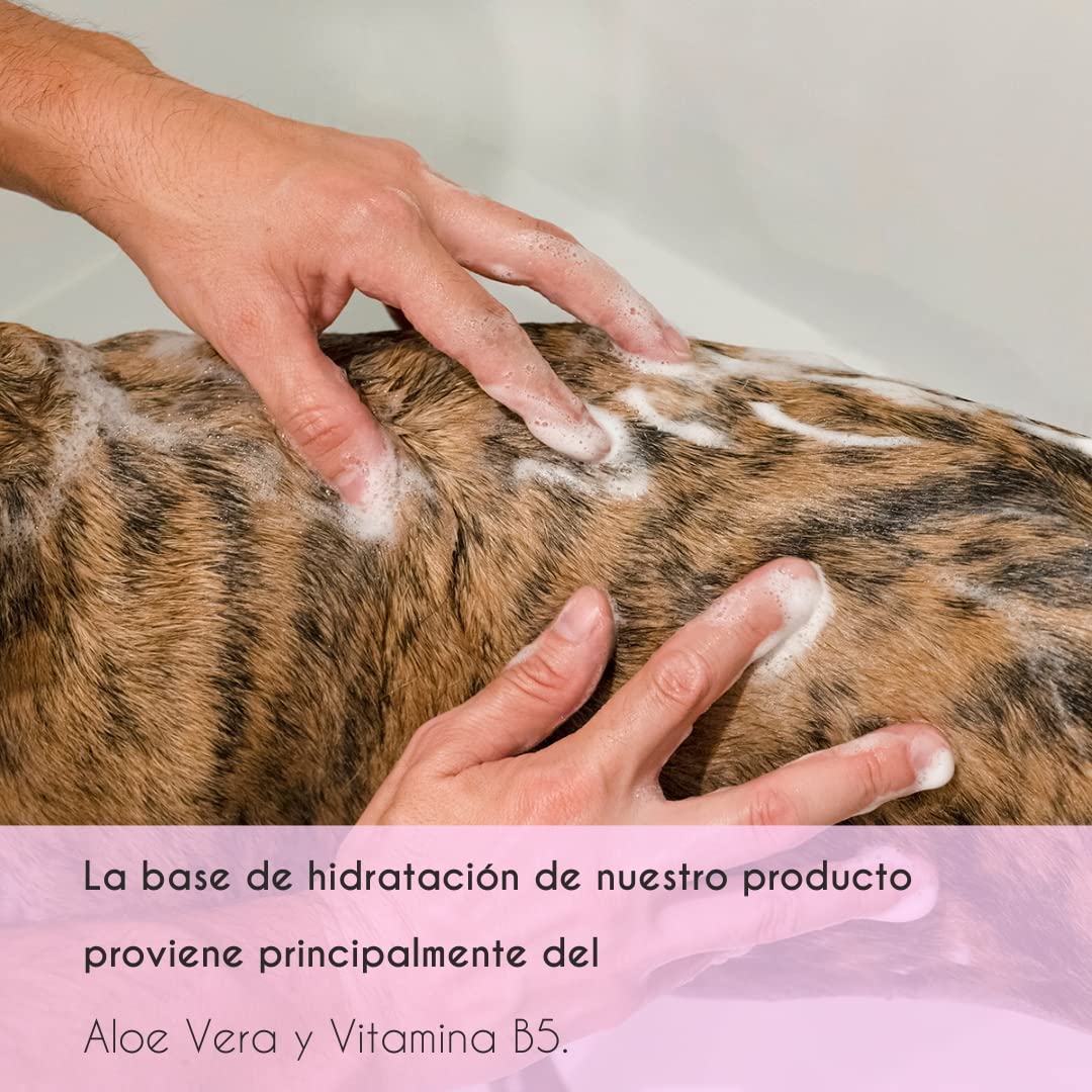 Petuxe Champú Perros y Mascotas Vegano, Cachorros/Puppies, 5000 Milliliter