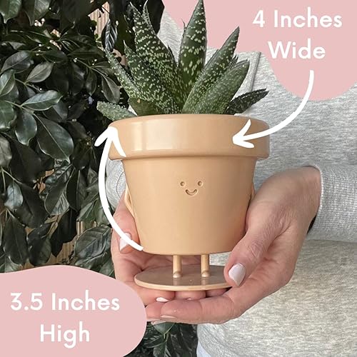 Miniatura 3 de Juego de 3 bonitas macetas de interior para suculentas, de plástico, únicas para los amantes de las plantas (plantas no incluidas)