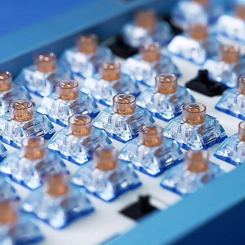 Miniatura 9 de DRAOZA Kailh Box - Interruptores de teclado mecánico de mar profundo, silencioso, silencioso, lineal PRO (islote lineal silencioso y silencioso, 36