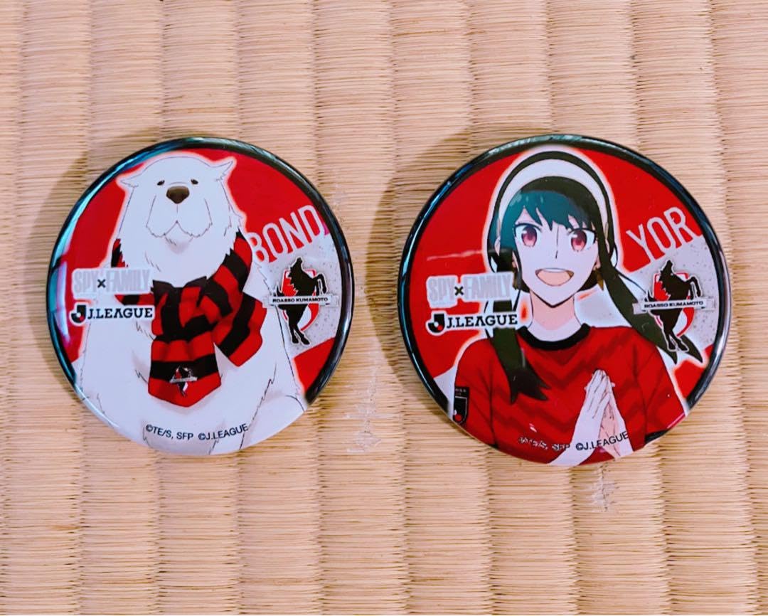 J1リーグ コラボ 缶バッジ】ONE PIECE ゾロ ガンバ大阪 Jリーグコラボ