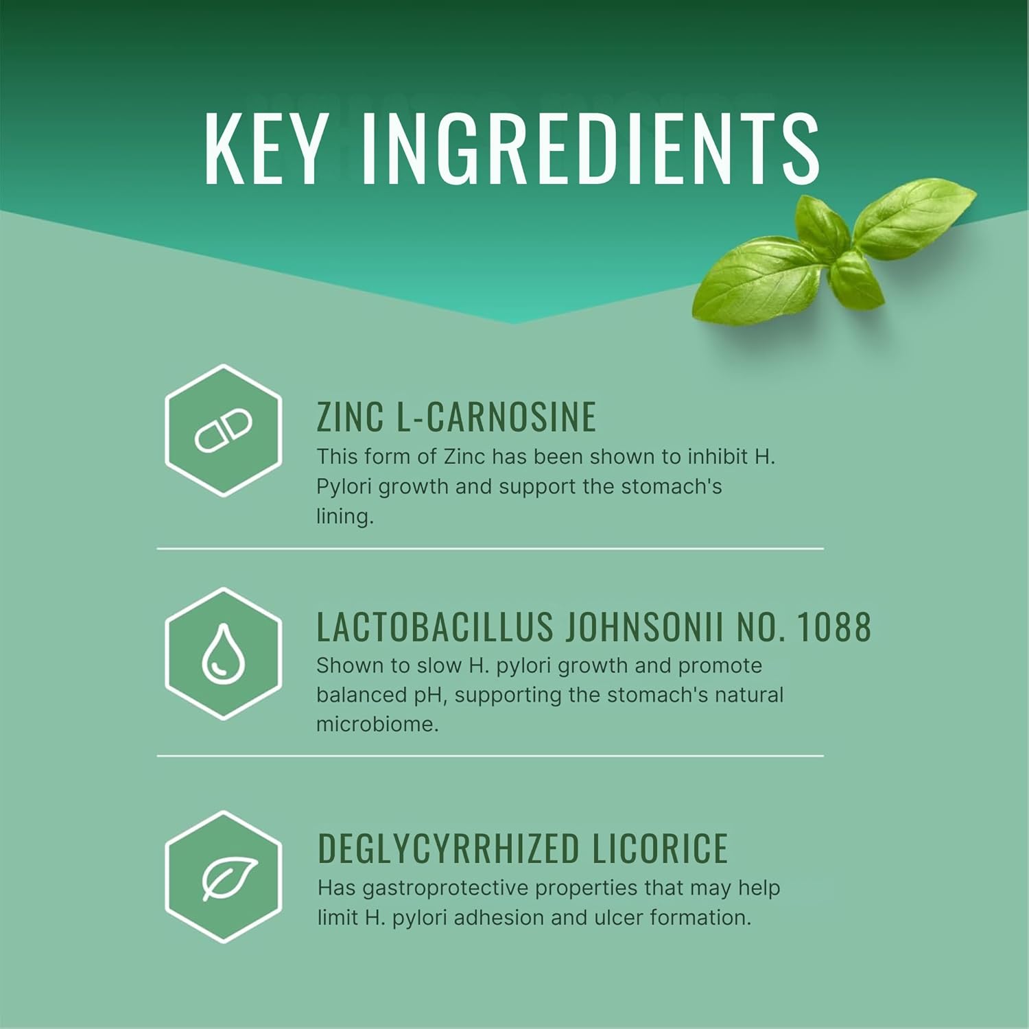 Approved Science Pyloriprin - Advanced Digestive Support for A Healthy Stomach - Zinc L-Carnosine, Probiotic, Broccoli Sprout, Deglycyrrhized Licorice - 60 Capsules - One Month Supply - Vegan - Image 4