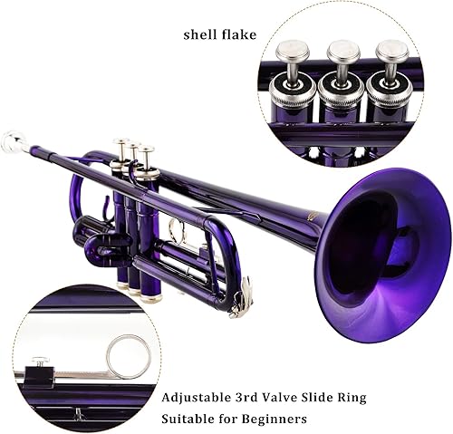 Miniatura 26 de EASTROCK Bb Trumpet Juego de trompeta estándar con estuche de transporte, guantes, boquilla 7C y kit de limpieza (negro)