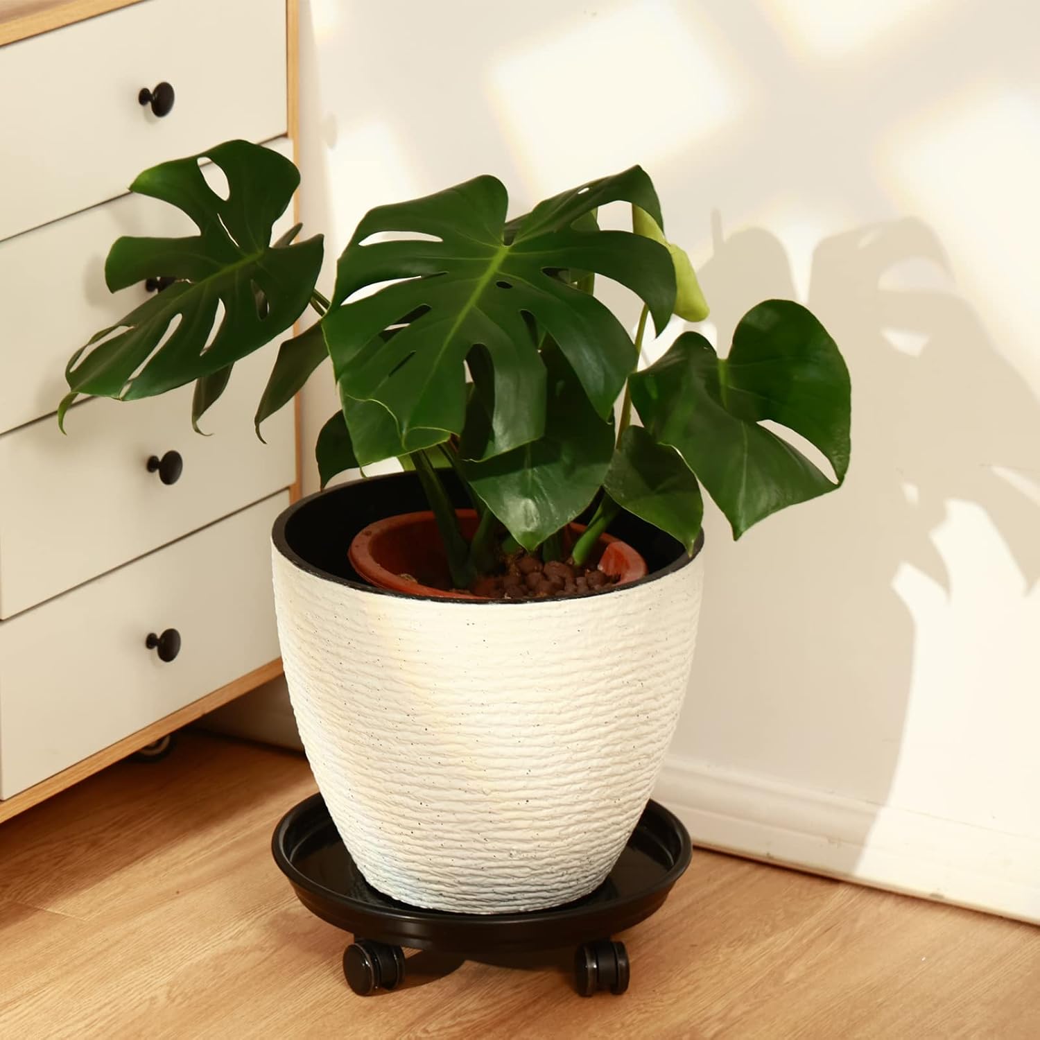 8 Packs 12 Inches Plant Caddy with PU Wheels Large Rolling Plant Stands Plastic Plant Roller Base Pot Movers Planter Saucer on Wheels Indoor Outdoor Wheeled Plant Dolly Planter Tray Coaster