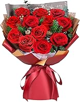 ADDWel Preserved Red Rose Bouquet: Eternal Real Roses Last 3-5 Years - Valentine's Gifts for Wife, Girlfriend, Mom, Anniversary, Birthday
