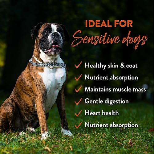 Miniatura 8 de Addiction Wild Kangaroo & Apples - Alimento seco para perros - Proteína novedosa de ingredientes limitados - Control muscular y de peso - Sin granos