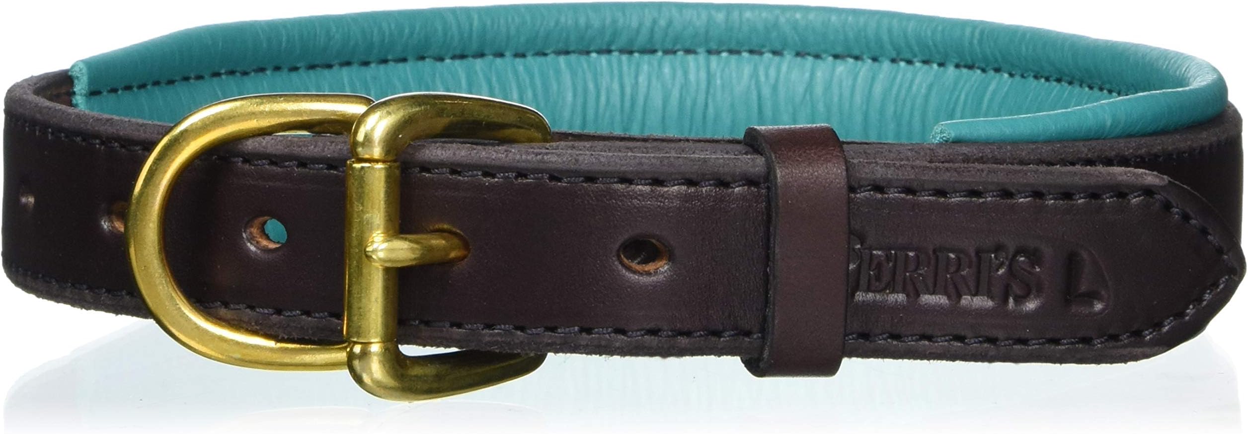 Perri's Padded Leather Dog Collars in Metallic and Bold Non-Metallic Colors