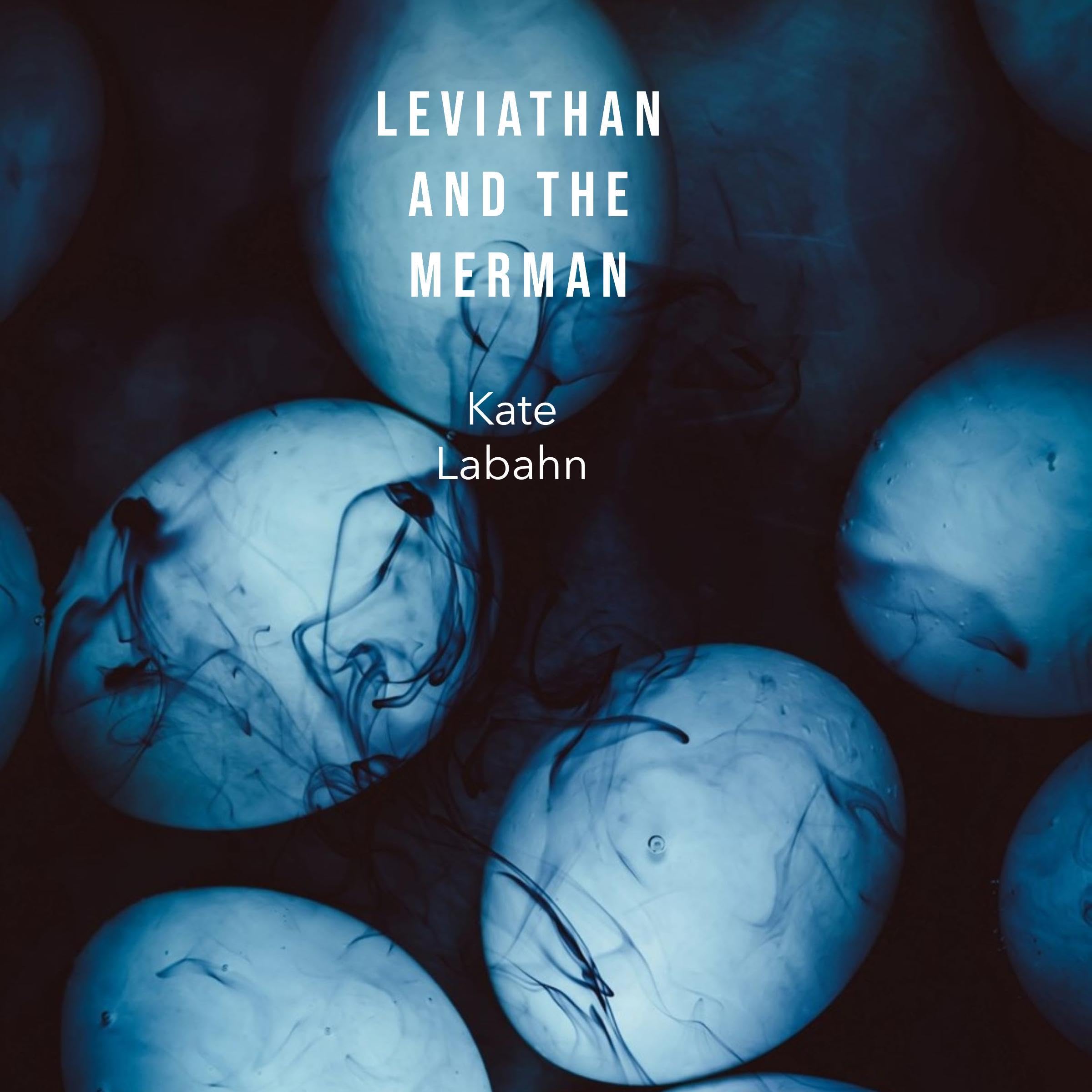 Cover art for Leviathan and the Merman