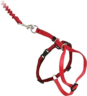 PetSafe Easy Walk CWMK-L-RED-19 Cat Harness with Elastic Bungee Lead for Walking Your Cat, Size L, Red product image