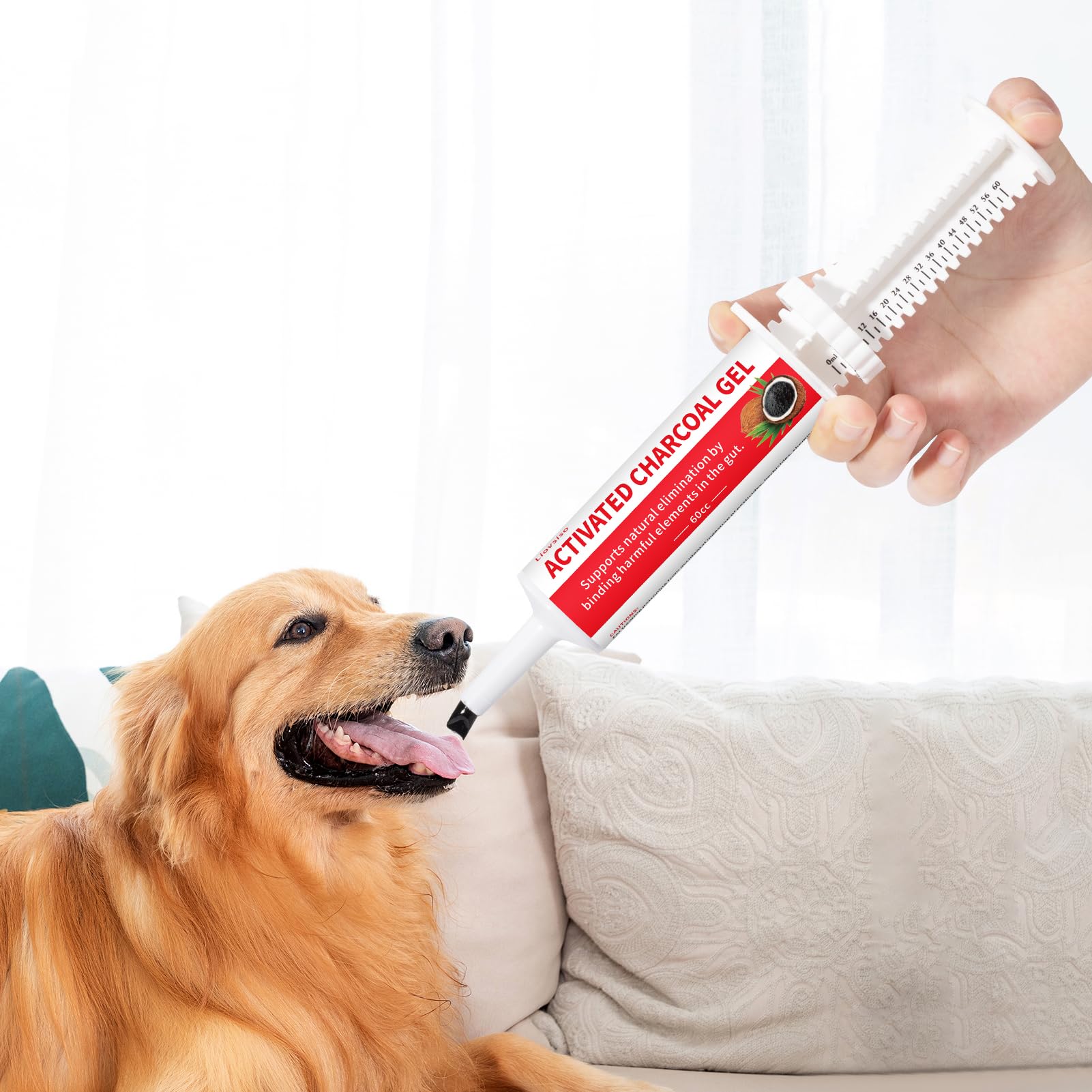 Charbon actif pour chiens (60 cc) – Intoxication animale et diarrhée – Kit de premiers secours pour chiens Charbon de bois d'urgence, prêt à absorber les toxines