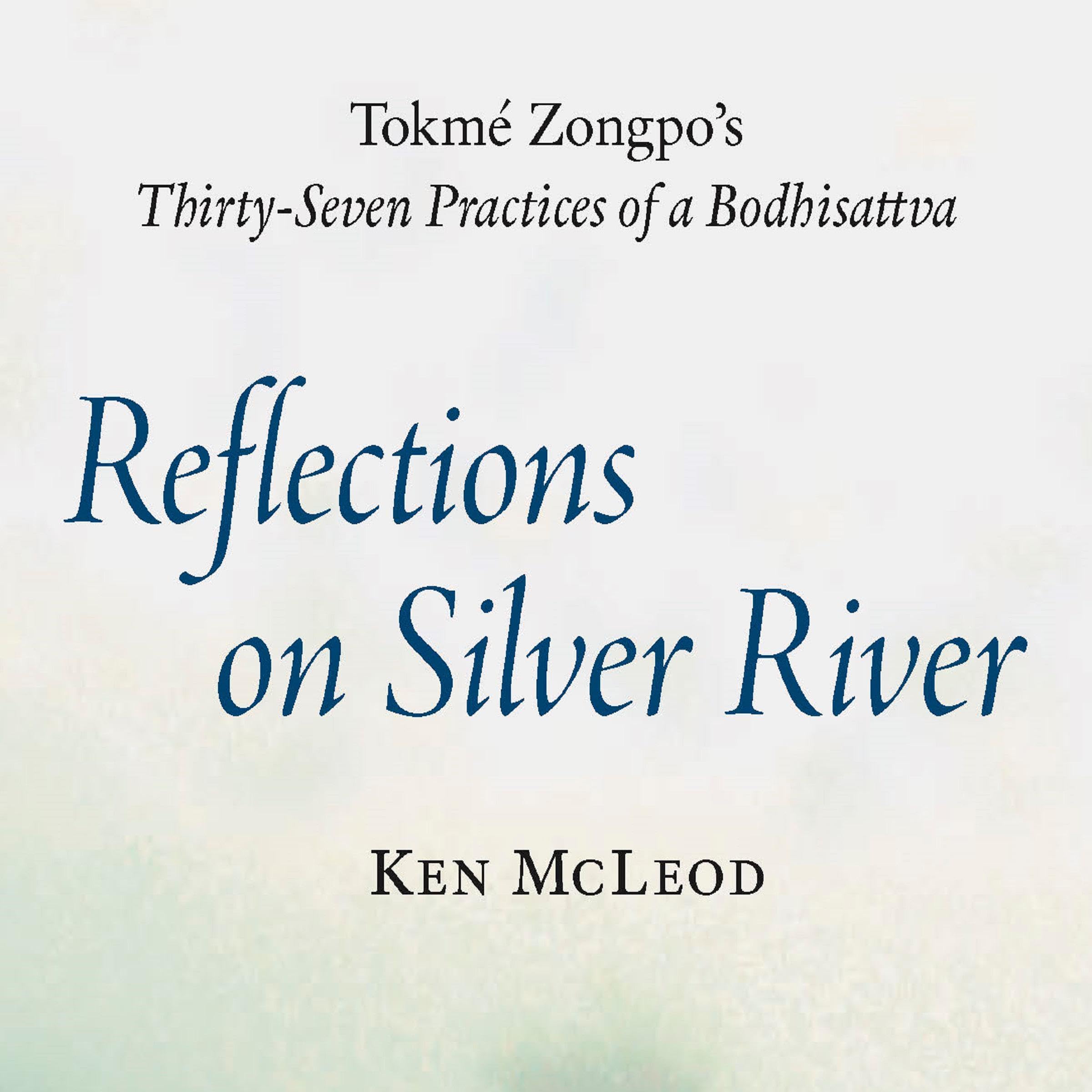 Cover art for Reflections on Silver River