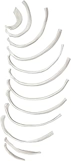 Disarticulated Rib Bones - Half Set, 12 Bones - Anatomically Accurate Human Rib Bone Model Replica - Labeled at Ends - Halloween Decorations - Eisco Labs