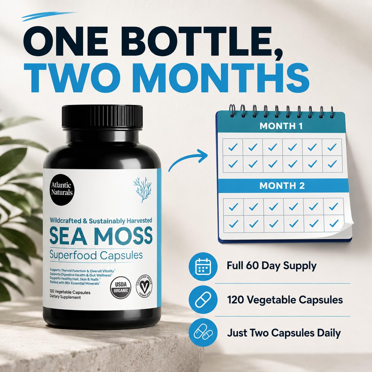 Atlantic Naturals Irish Sea Moss Capsules 1000mg - Organic Wildcrafted Seamoss Supplement, 120 Vegan Pills for Women & Men - Immune, Energy & Skin Support, 2-Month Supply — Amazon image 6