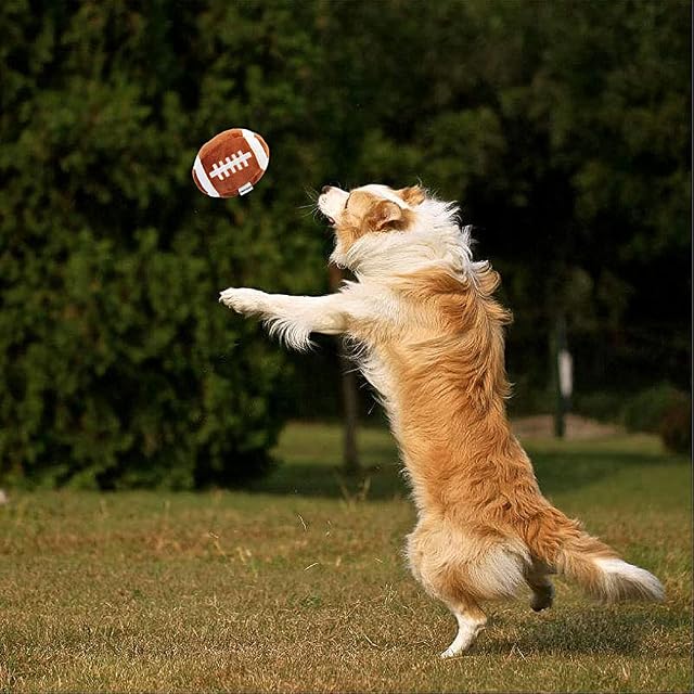 Foto 4 de 8 de 3 Piezas de Juguetes para Perros Medianos, Juguetes para Cachorros para Perros Pequeños, Pelota de Rugby