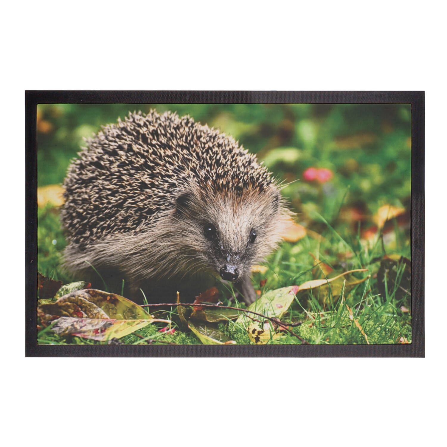 Paillasson herisson mignon en format 60x40 cm pour décoration de porte
