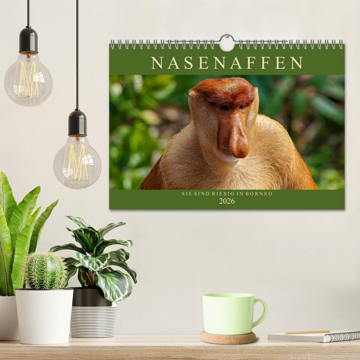 Nasenaffen von Borneo (Wandkalender 2026 DIN A4 quer), CALVENDO Monatskalender: Das aufregende Leben der Nasenaffen in Borneo (CALVENDO Tiere)