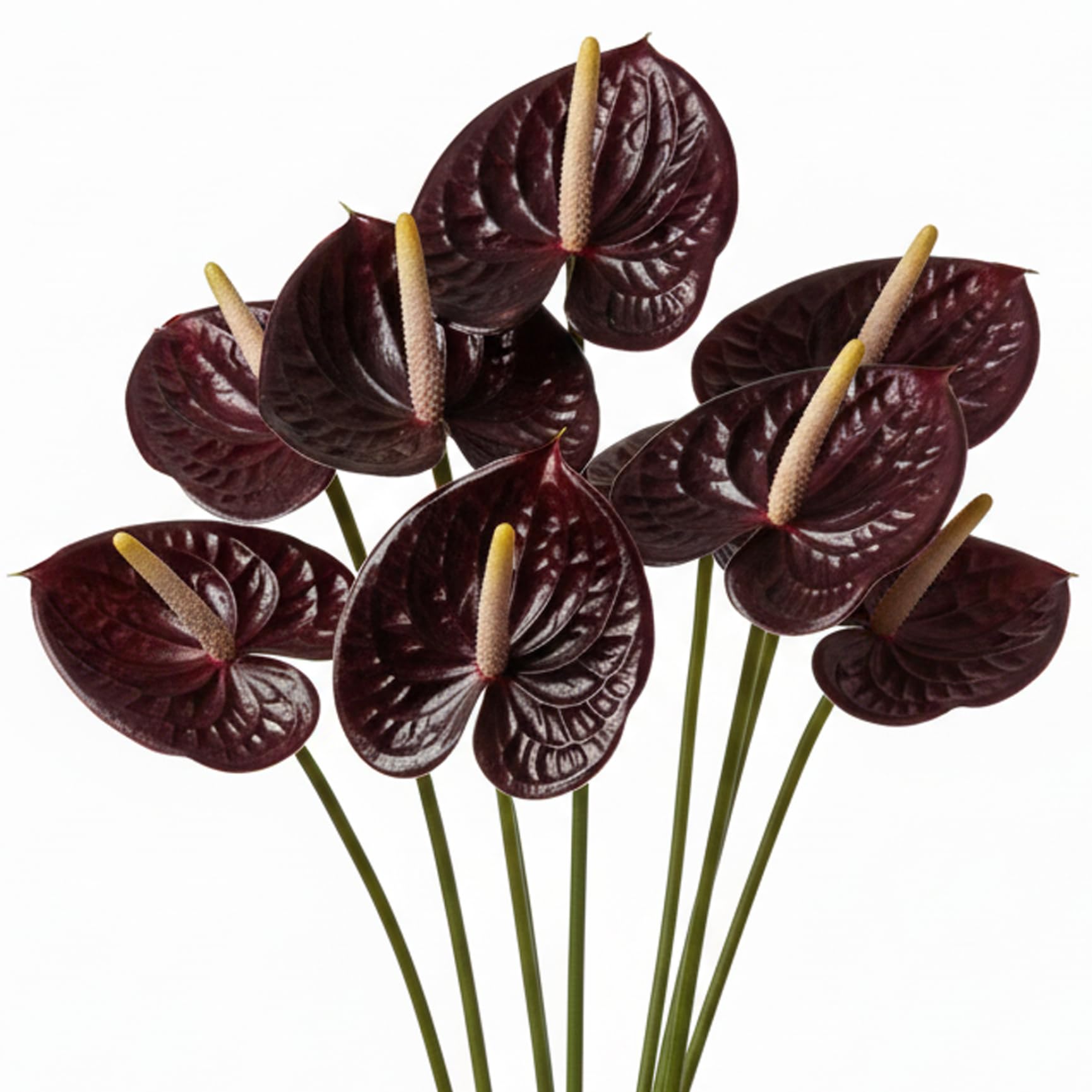 Fleurs artificielles d'anthurium et fausses plantes tropicales rouges 8 pièces
