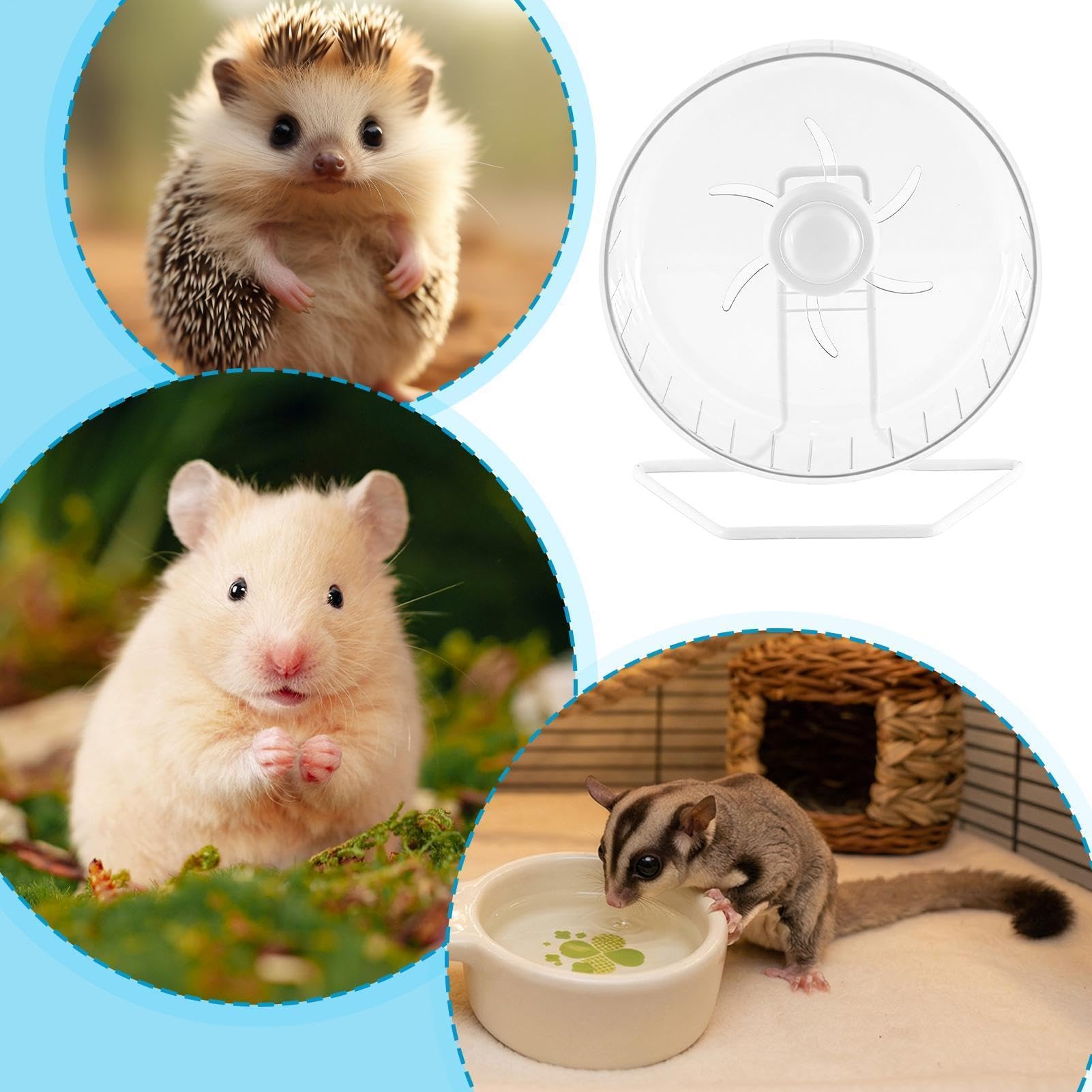 Ruote criceti Corsa Silenzioso Trasparente Con Supporto | Piccola Ruota Criceti Per Gerbilli, Topi, Petauro dello Zucchero, Riccio, Furetto, Coniglio e Altri Piccoli Animali
