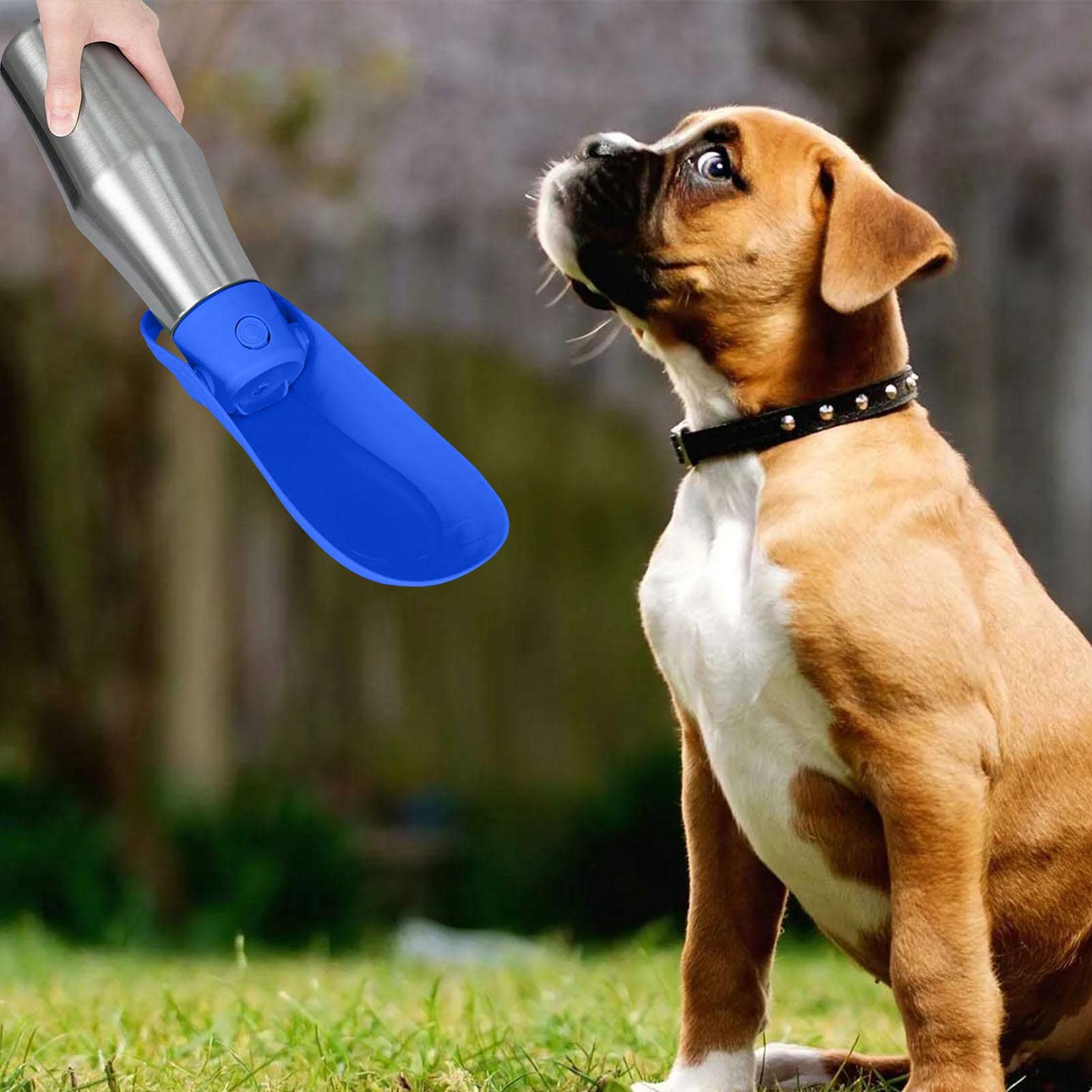 Borraccia Portatile Per Cane 550ml - Dispenser Cibo E Acqua Da Viaggio In ABS Rosa - Foto 8