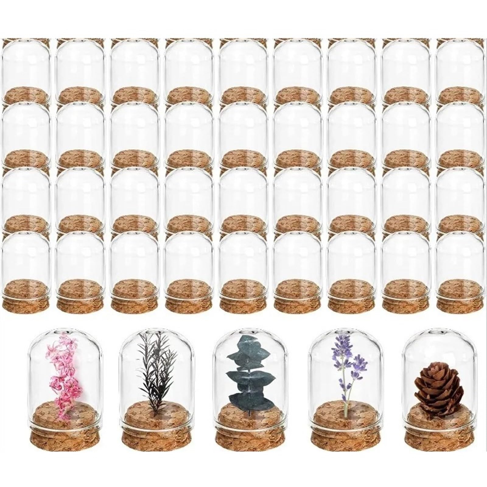 ZYAYNG 50PCS Mini Glass Cloche Bell Jars With Cork Lids Dome Display Containers For Home Decor Wedding/Party Displaying Jar For Display