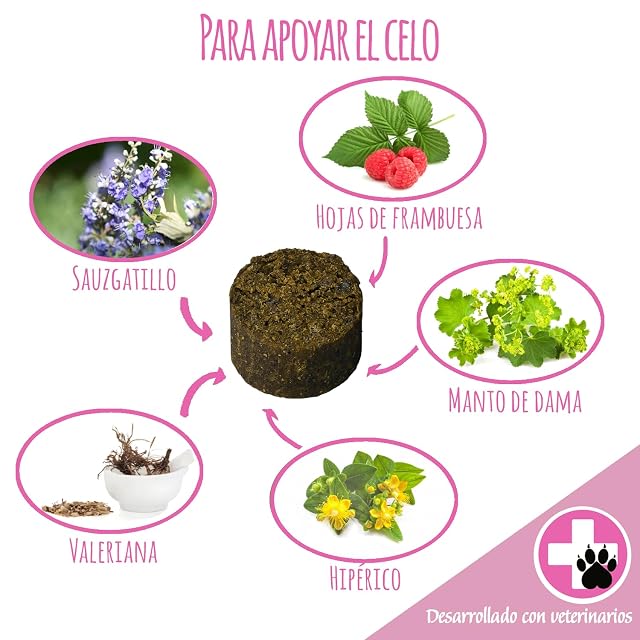 Foto 2 de 7 de Schnüffelfreunde Läufigkeit I Alimento complementario con sauzgatillo, alchemilla y Hojas de Frambuesa (150g