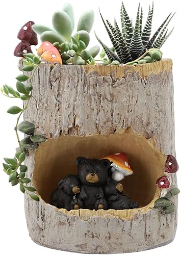 Vista 20 de Segreto Macetas creativas con agujeros de drenaje, jarrón de resina para decoración del hogar para suculentas, flores, cactus, decoración de Erizo