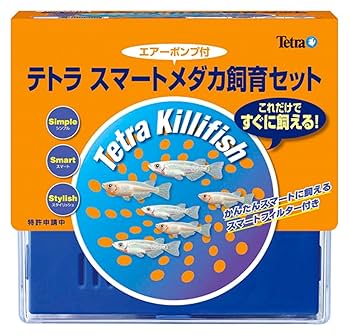 メダカの子ども様【専用】 12963.jpg