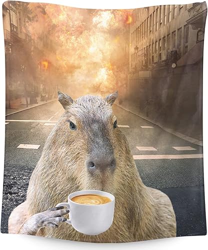 Capybara - Manta pequeña de 50 x 40 pulgadas para niños, niñas y niños, manta de felpa suave y mullida para cama, sofá, lindas mantas de regalo