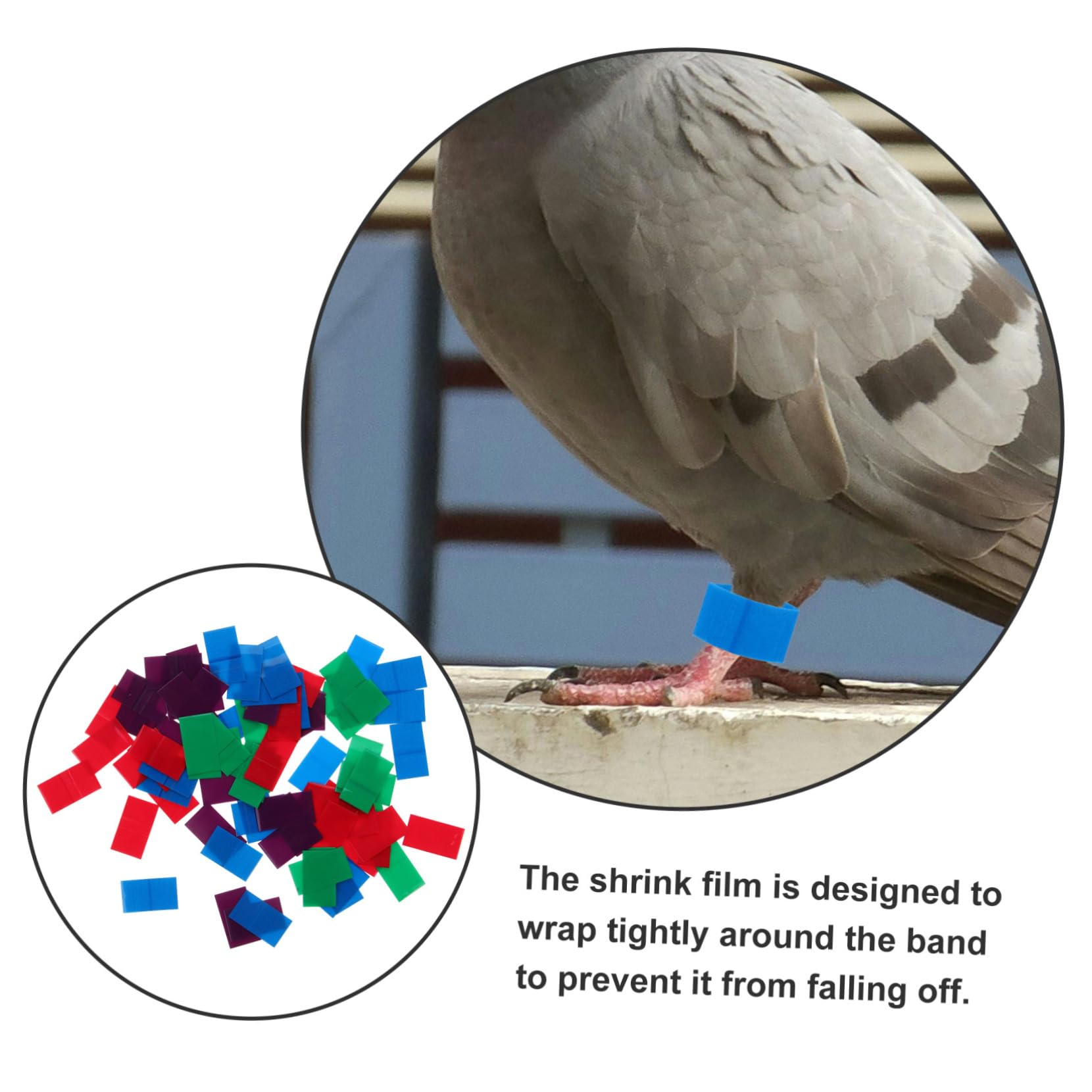 balacoo 80pcs Pigeon Foot Ring Heat Shrink Material Bird Foot Protection Sealing Film for Pigeon Accessories