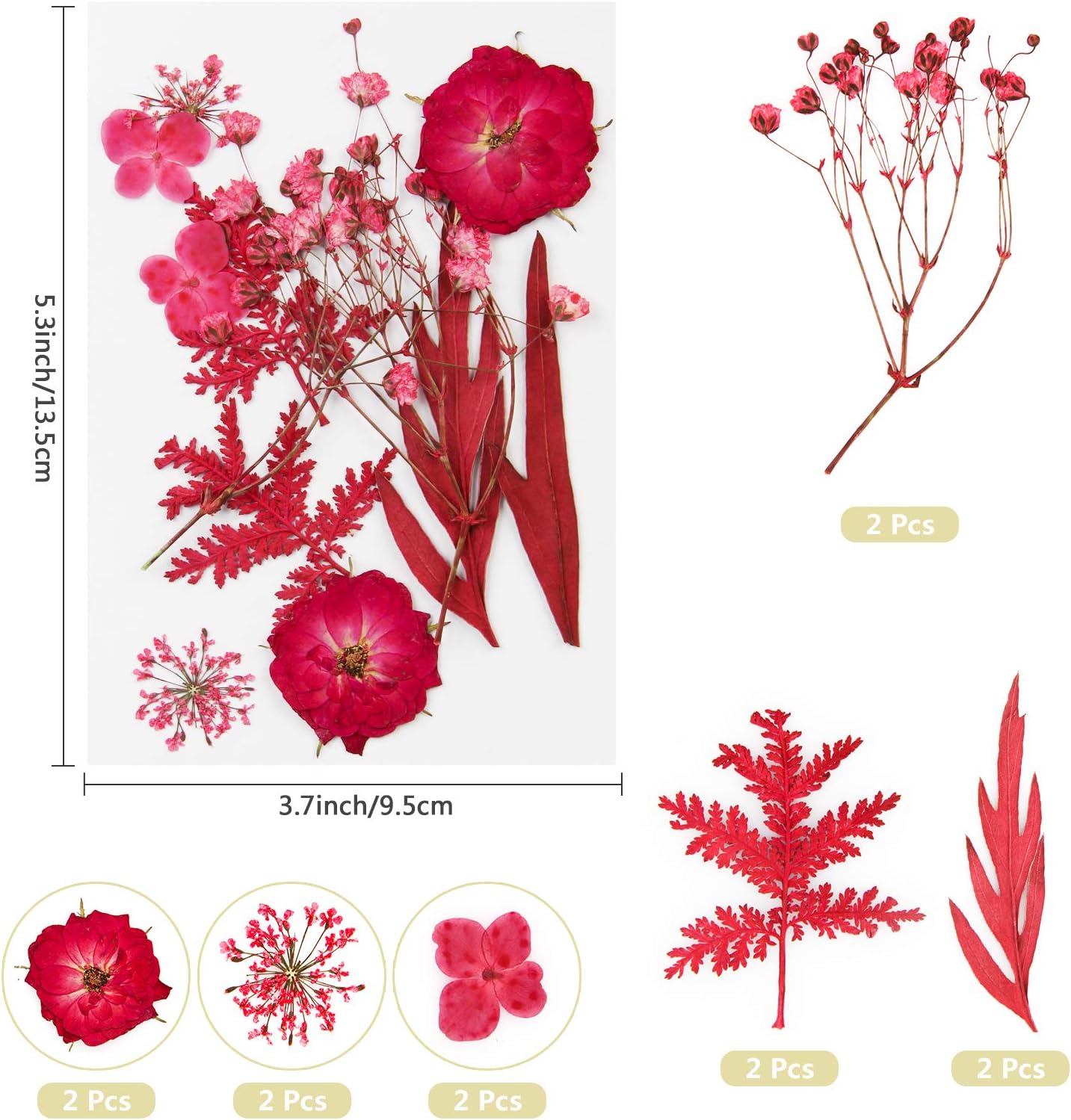 Real Dried Pressed Flowers and Leaves - 73pcs Mixed Multiple Dry Flower and Leaf with Tweezer for DIY Candel Resin Jewelry Nail Pendant Crafts Art Floral Decoration