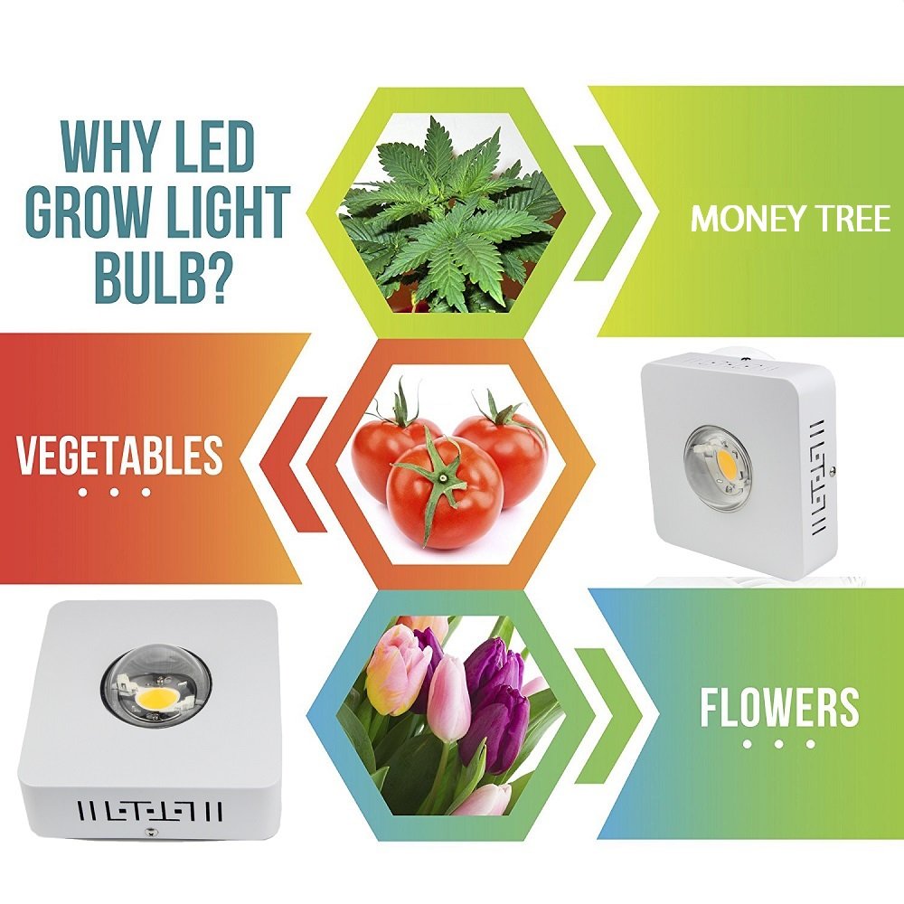 COB LED Grow Light Full Spectrum, CANAGROW 100W CREE CXB3590 LED