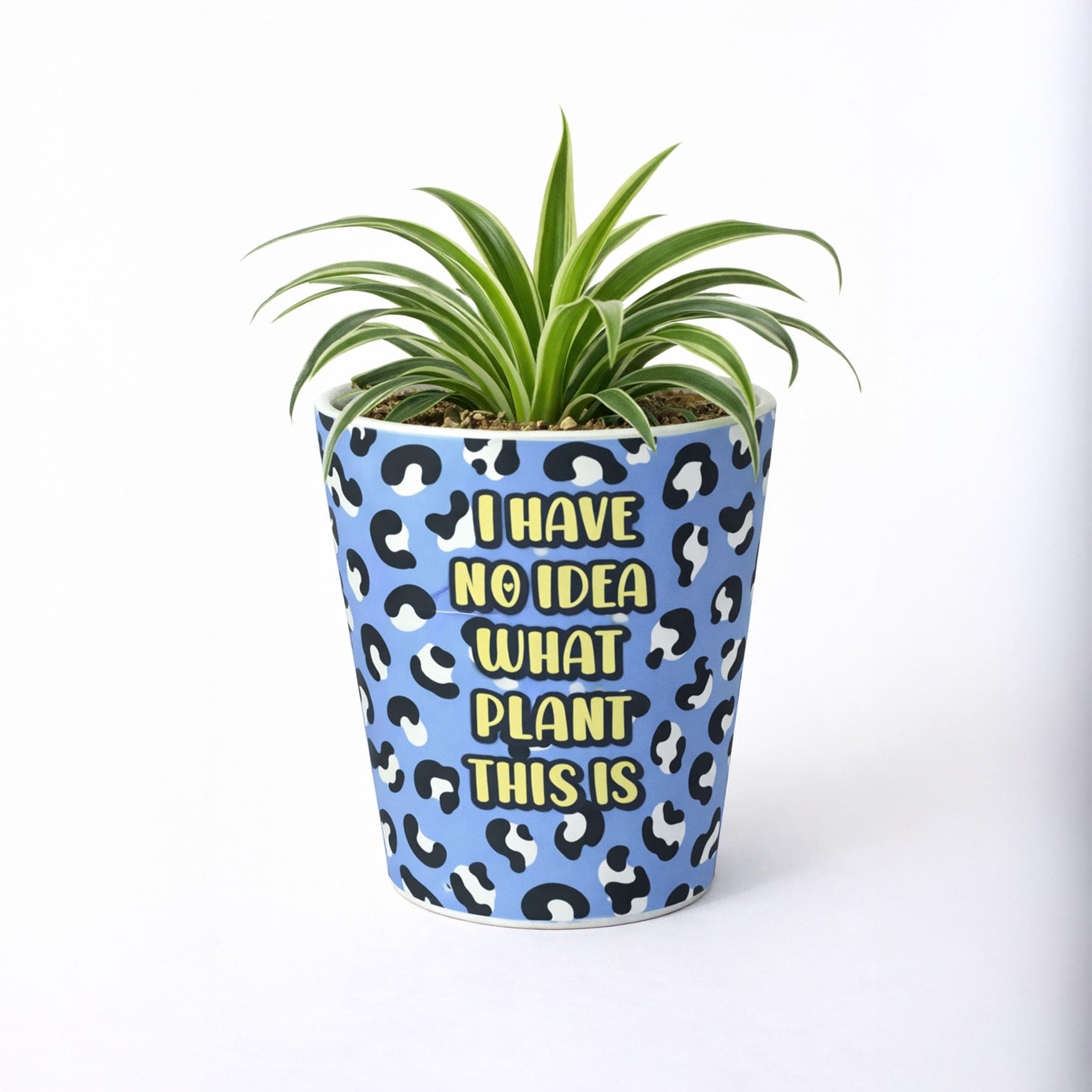 Silly Dog Designs - Funny Plant Pot with Drainage Hole – Leopard Print Novelty Indoor Plant Pot - Cheeky Slogan Flower Pot for Plant Lovers (No Idea What Plant This Is)