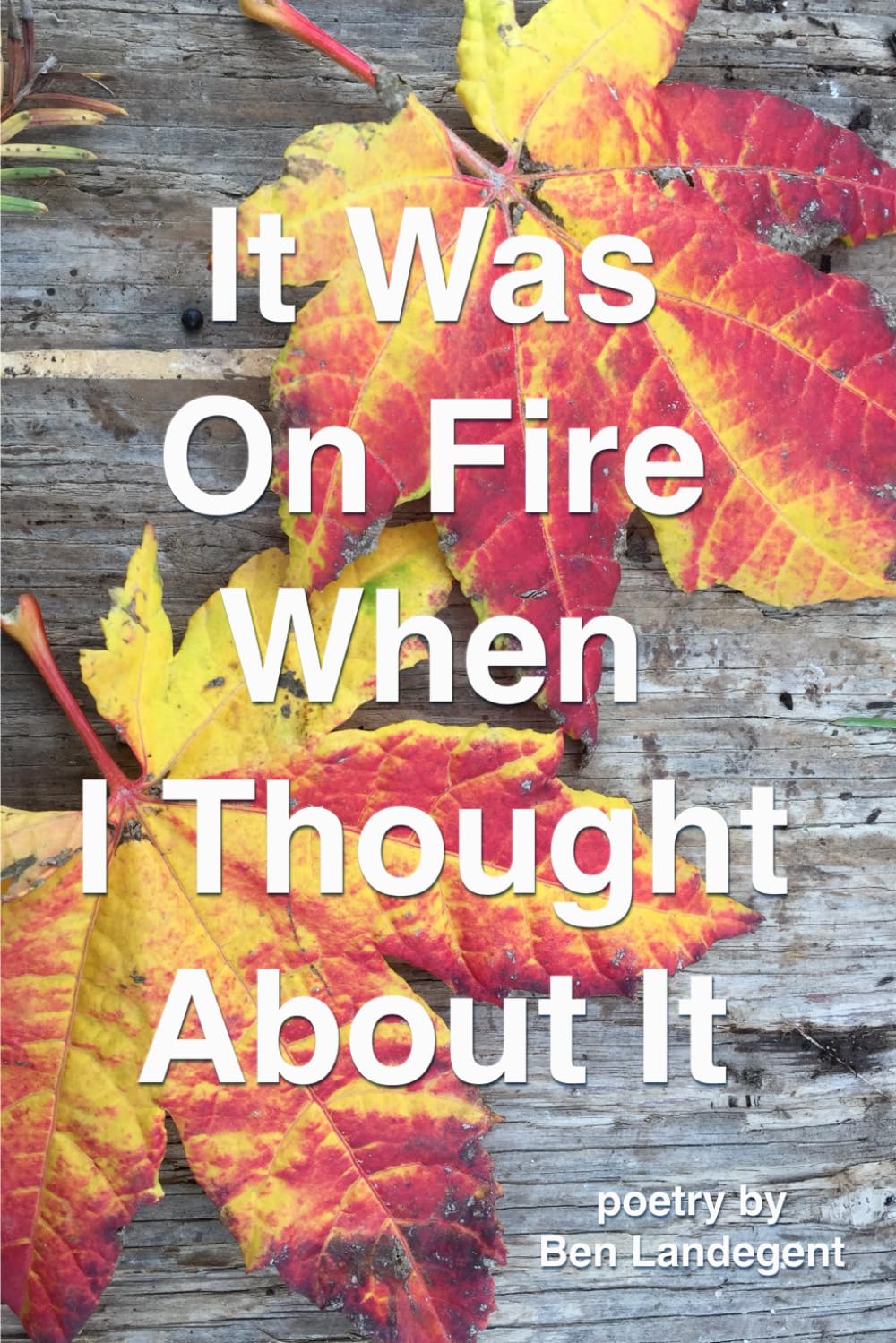 It Was On Fire When I Thought About It