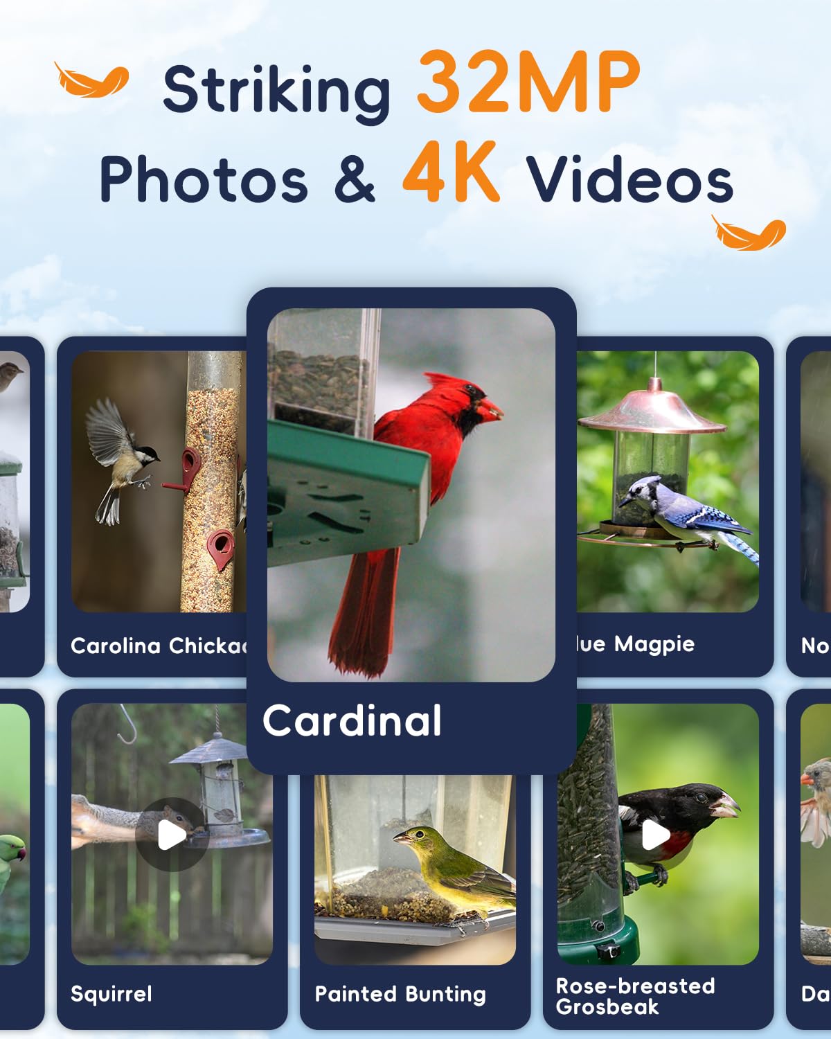 Hibird - Telecamera per bird watching 5G, intelligenza artificiale intelligente per identificare e catturare automaticamente oltre 10000 specie di uccelli, IP66, mini telecamera wireless con pannello